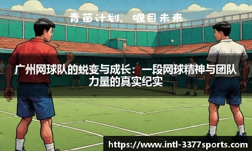 3377体育